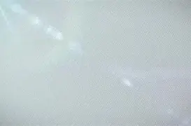 华娱我在千禧年当导演